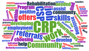 Vocational Rehabilitation Program for Individuals with Intellectual Disabilities