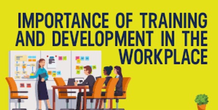 أهمية التدريب والتطوير في بناء فرق عمل قوية وتعزيز الأداء المتميز